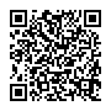 QR code for N3S990