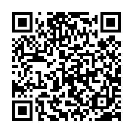 QR code for N3T 493