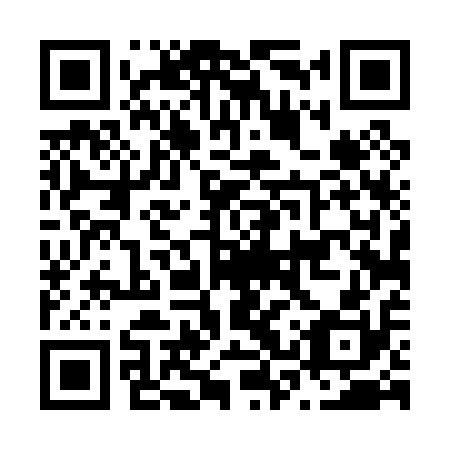 QR code for plate N3T 010