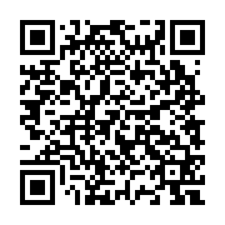 QR code for plate N3T 360