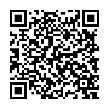 QR code for plate N3T 824