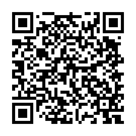 QR code for N3U 493