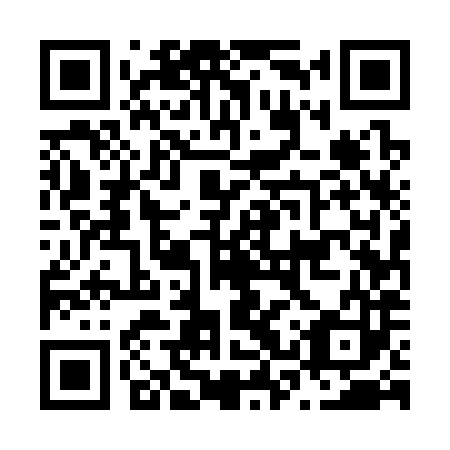QR code for N3U383