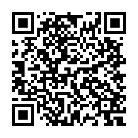 QR code for plate N3U 502