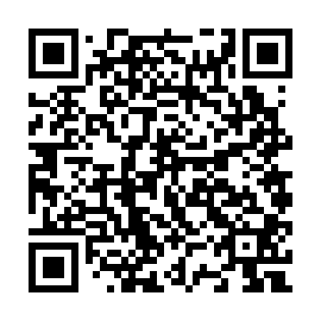 QR code for N3V 300