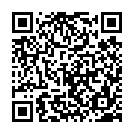 QR code for N3V 636