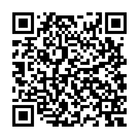 QR code for plate N3V 161