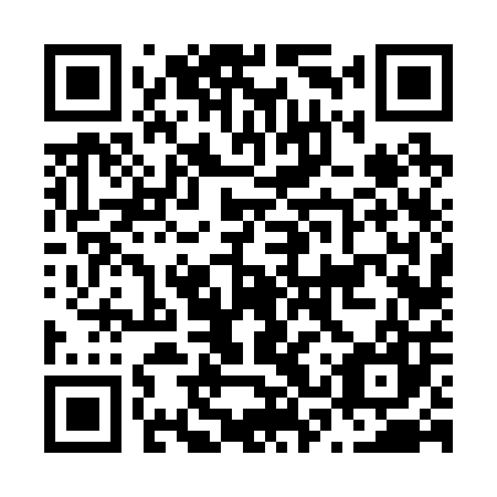 QR code for plate N3V 207
