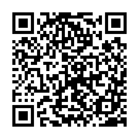QR code for plate N3V 743