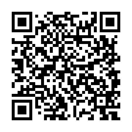 QR code for plate N3V 999