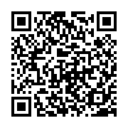 QR code for plate N3W 010