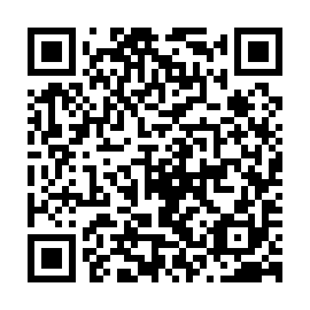 QR code for plate N3W 190