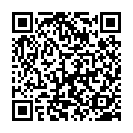 QR code for plate N3W 228