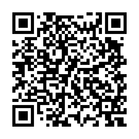 QR code for plate N3W 494