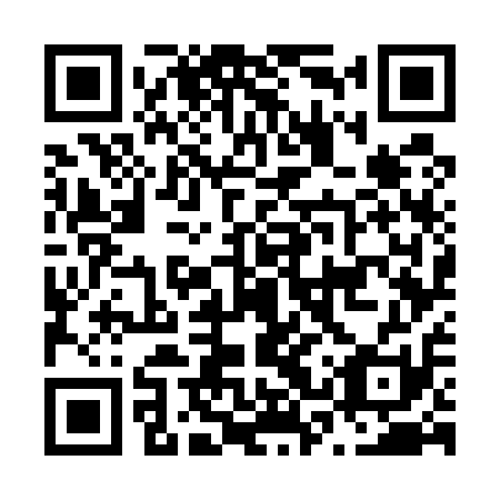 QR code for plate N3W 511