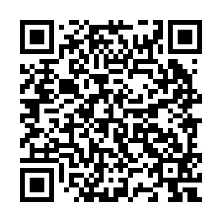 QR code for N3X 293