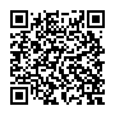 QR code for N3X 346