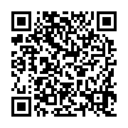 QR code for N3X 394