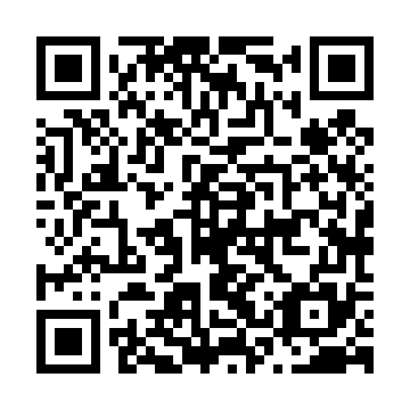 QR code for N3X 475