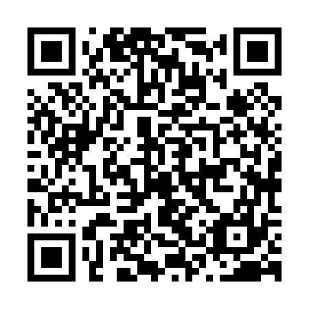 QR code for plate N3X 077