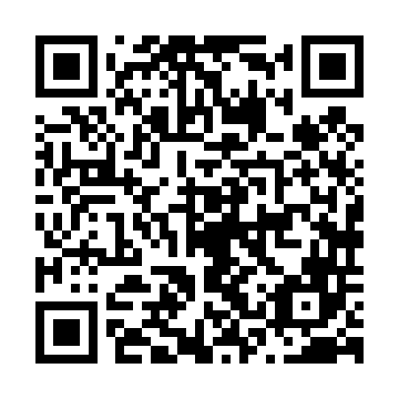 QR code for plate N3X 446