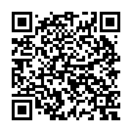 QR code for N3Y 273