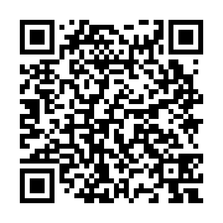 QR code for N3Y 338