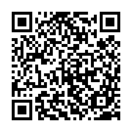 QR code for N3Y 447