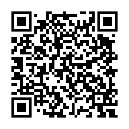 QR code for N3Y 493