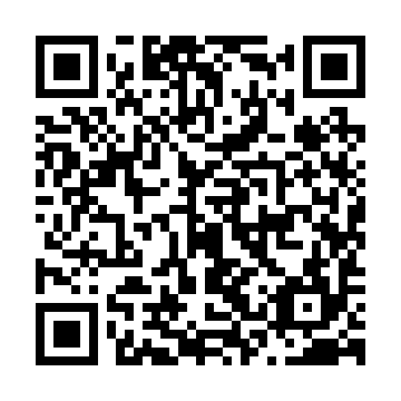 QR code for N3Y294