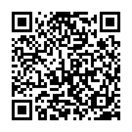 QR code for plate N3Y 333