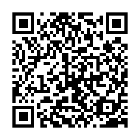QR code for plate N3Y 519