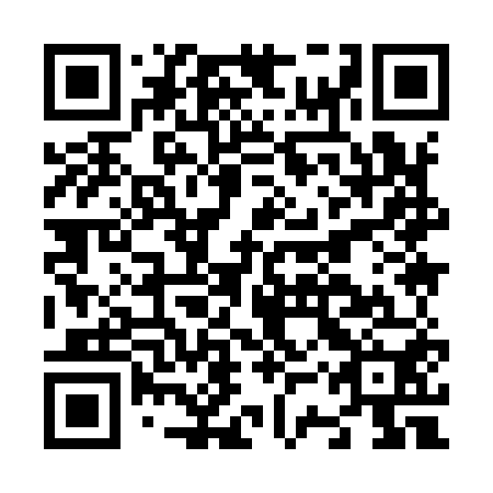 QR code for plate N3Y 950