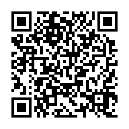 QR code for N3Z 317