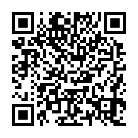 QR code for N3Z 371