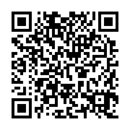 QR code for N3Z 385