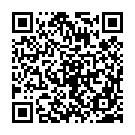 QR code for N3Z 466