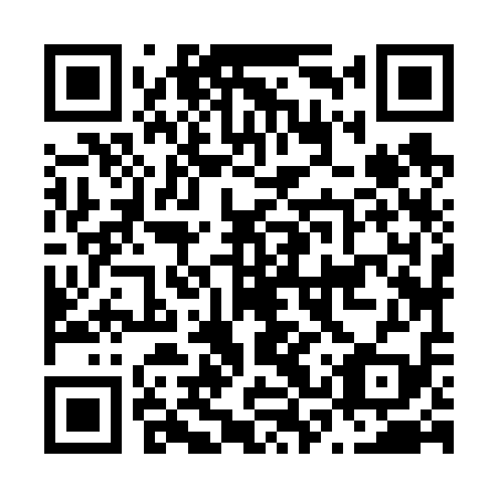QR code for N3Z 619
