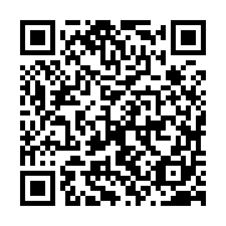 QR code for N3Z 950