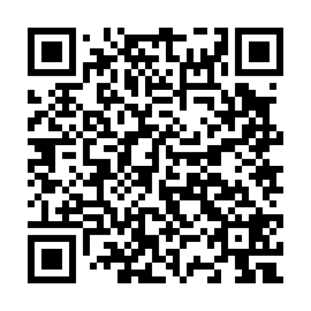 QR code for plate N3Z 028