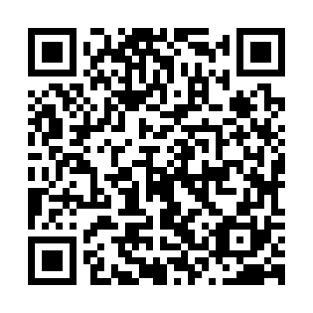 QR code for N3Z370