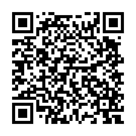 QR code for plate N3Z 445