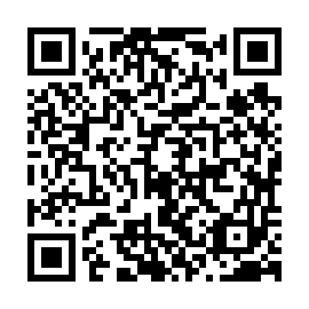 QR code for plate N3Z 653