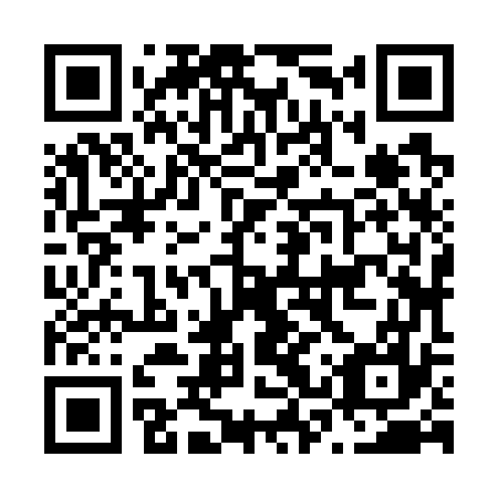 QR code for plate N3Z 777