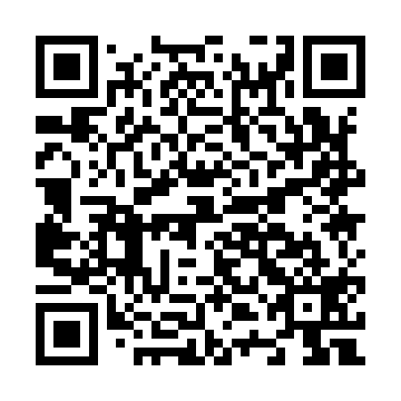 QR code for N4A 919