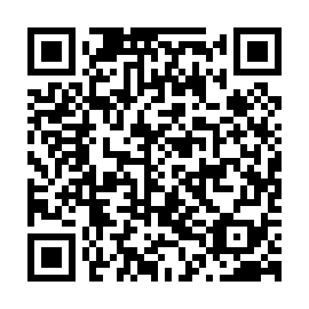 QR code for N4A079