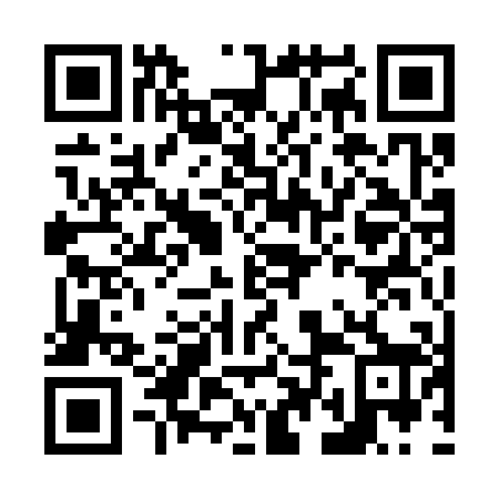 QR code for plate N4A 308