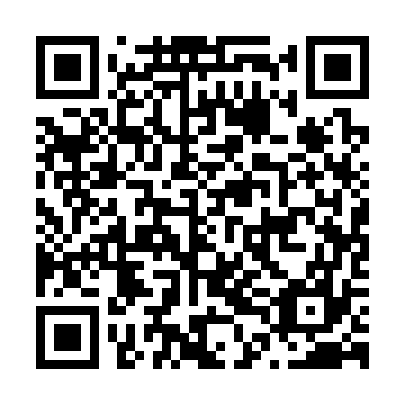 QR code for plate N4A 377