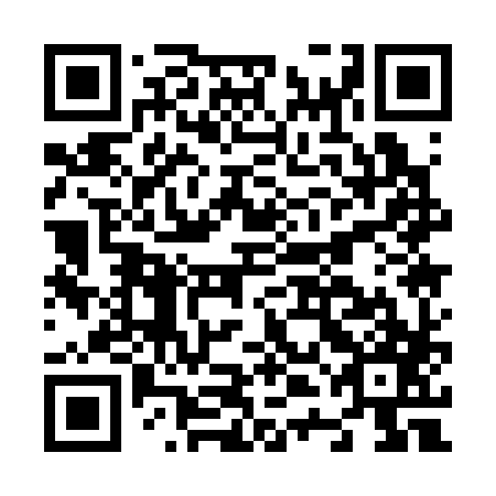 QR code for plate N4A 387