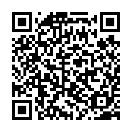 QR code for plate N4A 695